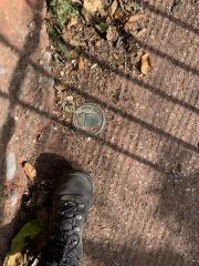 Some coast path markers are harder to spot than others!